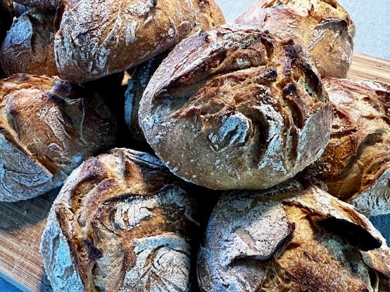 !altAuf einem dunklen Holztisch liegt ein Holzbrett. Darauf liegen zahlreiche frisch gebackene Brötchen mit rustikalem Ausbund