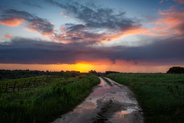 looking out towards sunrise on a cloudy morning over a puddle filled dirt road on top of a hill