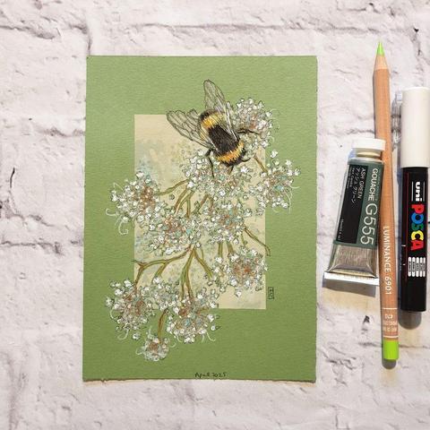 A small drawing of a bumblebee on delicate pale flowers. The drawing is on green pastel paper.
An original art work
Colour pencil and mixed media on acid free toned artist paper
5 by 7 inches (12.7 by 17.8 cm).
Sold unframed