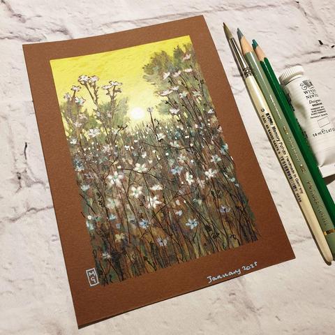 A small drawing of a dreamy summer flower meadow in golden evening light.
An original art work
Colour pencil and mixed media on acid free toned artist paper
5 by 7 inches (12.7 by 17.8 cm).
Sold unframed