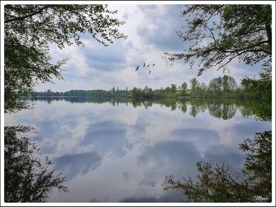 Bildbeschreibung:
Blick durch Zweige hindurch auf einen fast spiegelglatten See mit Büschen und Bäumen ab gegenüberliegenden Ufer.