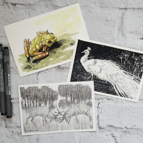 Clearance
A group of three pen and ink studies of animals, a frog, a white peacock and two stags fighting.
Sold together. All postcard size. 10cm by 14.5cm.
Original art works Sold as a set only
Pen and ink on watercolour paper
10cm by 14.5cm (postcard size).
Sold unframed