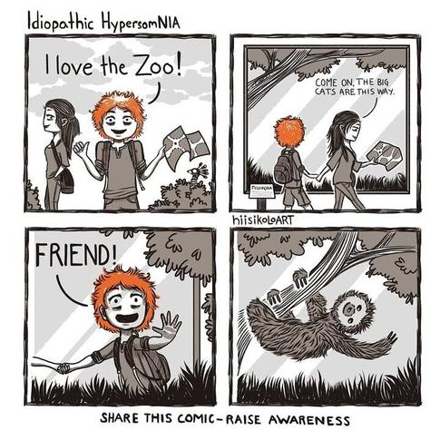 Four panel depicts Nia and their partner walking around outside. Nia is looking around, map in hand, saying "I love the Zoo!" The partner, also known as "Boo" is smiling at them.

They process to walk around together, hand in hand. Boo is leading Nia past a glass window to an exhibit, saying "Come on the big cats are this way." Nia is distracted ny the exhibit.

Inside looking out something sees Nia, and Nia sees them - waving at it and smiling widly. "FRIEND!" They exclaim happily.

A greeful sloth waves back, hanging from a branch. Clearly recognizing kidnered spirits.

Text around the comic read "Idiopathic Hypersomnia", "hiisikoloART", and "share this comic - spread awareness".