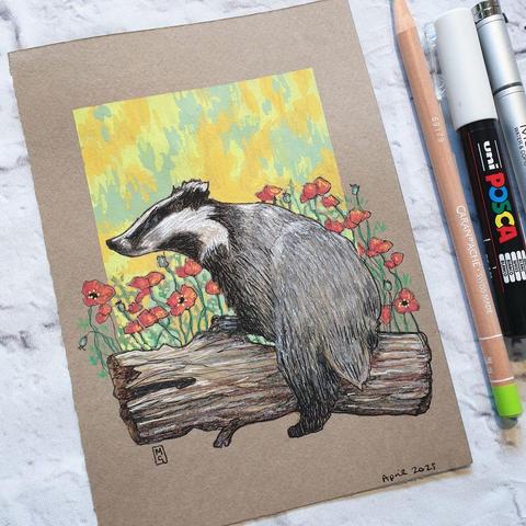 A small drawing of a European badger climbing a log. There are red poppies in the background. The drawing is on buff coloured paper.
The black-and-white striped badger is a well known species in the UK. It is our largest land predator feeding on small mammals, birds' eggs, worms, fruit and plants.
An original art work
Colour pencil and mixed media on acid free toned artist paper
5 by 7 inches (12.7 by 17.8 cm).
Sold unframed