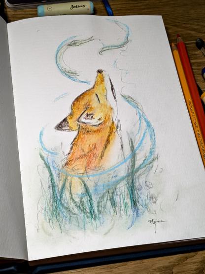 Dessin au pastel sec et crayon de couleur d'un renard le nez en l'air. Il est masqué par l'herbe haute et le vent tourne autour de lui.