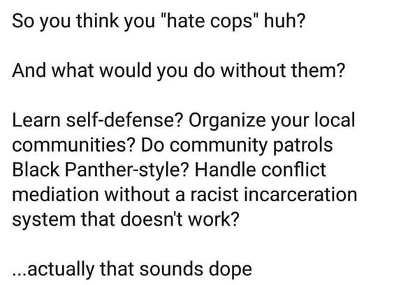 An image of text that says "so you think you hate cops huh? And what would you do without them? Learn self defense? Organize your local communities? Do community patrols Black panther style? Handle conflict mediation without a racist incarceration system that doesn't work? Actually that sounds dope