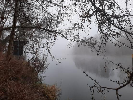 Blick auf nebeligen Kanal unter kahlen Bäumen hindurch