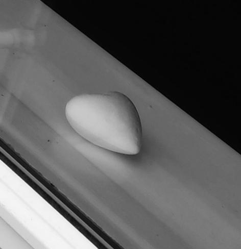 A white styrofoam heart lies on a hvite windowsill. Some white railings from outside  are slightly reflected in the window. The inside is dark. B&W picture