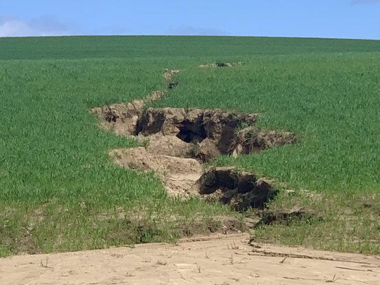 Ein riesiger Acker und eine Starkregenfurche, die Ackerboden wegspült. Vorher Dürre. Nordwest-Meckenlenburg in Küstennähe April 2024.