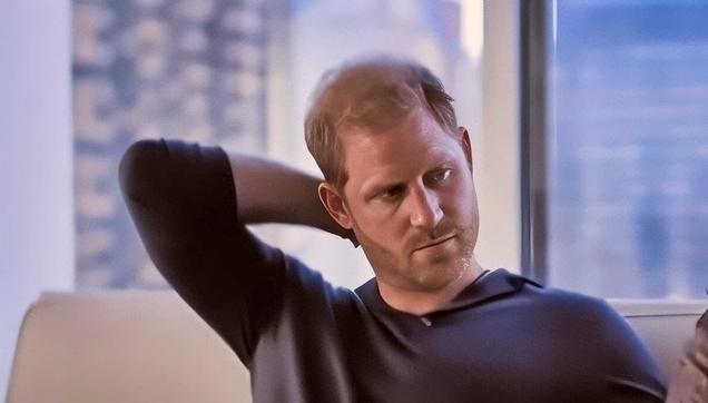 What Happened With Prince Harry's Visa Case?