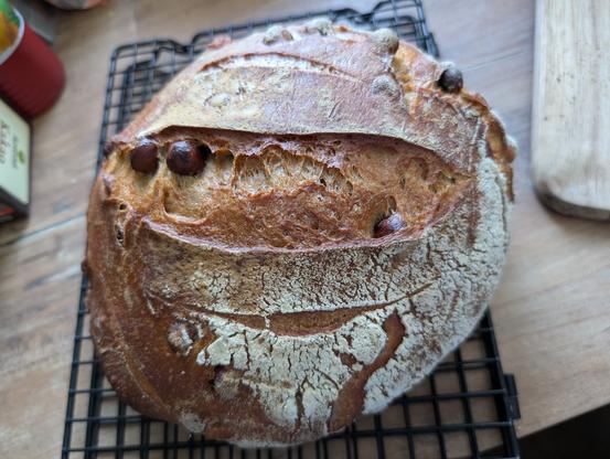 Ein Brot mit großem Ofensprung und sichtbaren Haselnüssen auf einem schwarzen Auskühlgitter