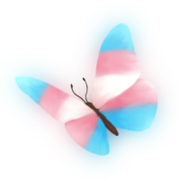 :butterfly_trans: