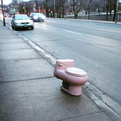 Rosa Toilette am Rand einer befahrenen Straße (Keele Street) in Toronto