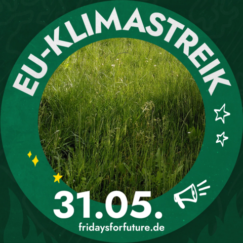 Ankündigung: EU-Klimastreik, 31.05., fridaysforfuture.de 
Der weiße Text steht in einem grünen Kreis. In der Mitte ist ein Foto von grünem Gras. (Das Bild ist mit dem Profilbildgenerator von FFF gemacht, wo man ein Foto hochlädt und der grüne Kreis drumgelegt wird.)