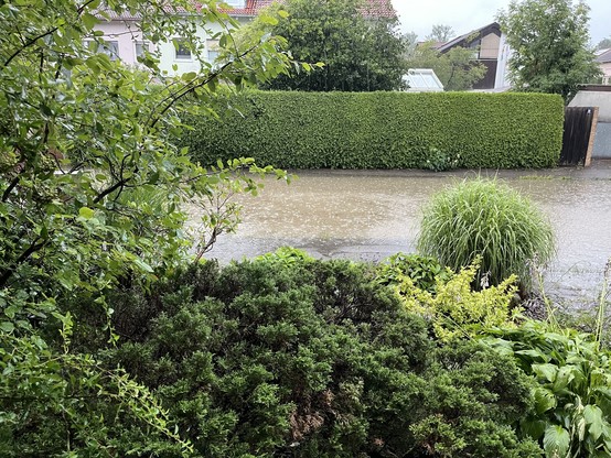 Ein Vorgarten mit Büschen und Gras, dahinter ein Gehweg und eine Straße, komplett bedeckt mit braunem Wasser. Auf der gegenüberliegenden Seite eine Thujenhecke.