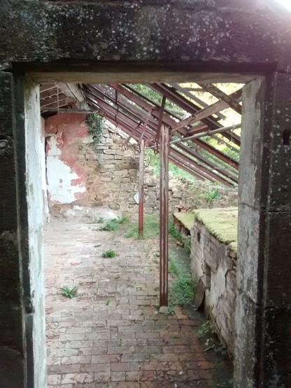 Blick durch einen verfallenen Türrahmen in einen altes verfallenes Haus ohne Dachziegel, drinnen zwischen den Bodensteinen wachsen Grasbüschel heraus, die rechte Wand ist offen, die Steine bemoost.