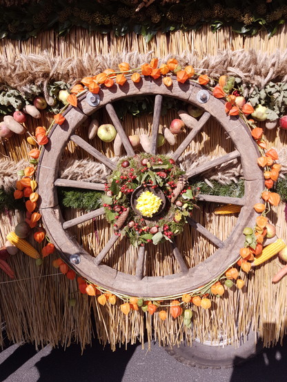 Ein Erntewagen, der mit Getreideähren, Physalis, Äpfeln und einem hölzernen Wagenrad geschmückt wurde. 