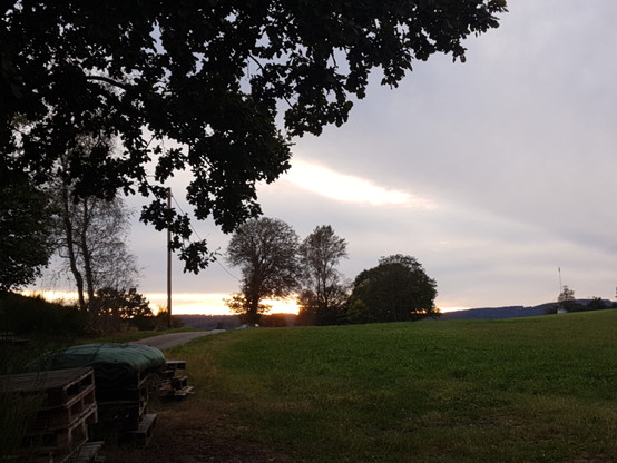 Die Sonne geht unter. Rechts ist eine Wiese Ein Weg führt links entlang. Vereinzelt stehen Bäume. 