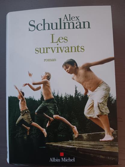Buchcover Les survivants