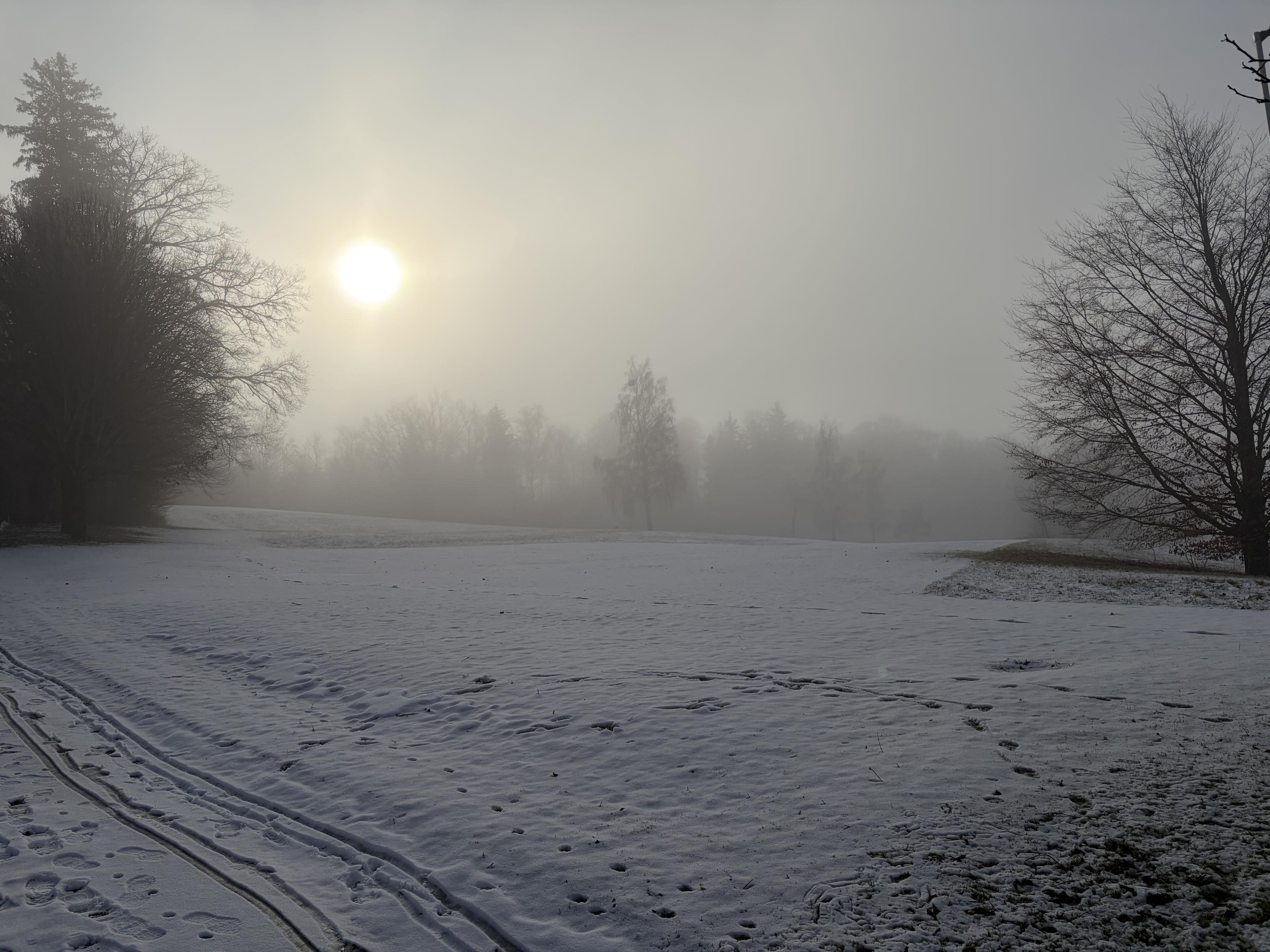 Verschneites Feld mit ein paar Bäumen. Es ist neblig trüb, aber die Sonne ist über den Bäumen schon hinter einem Schleier zu sehen.